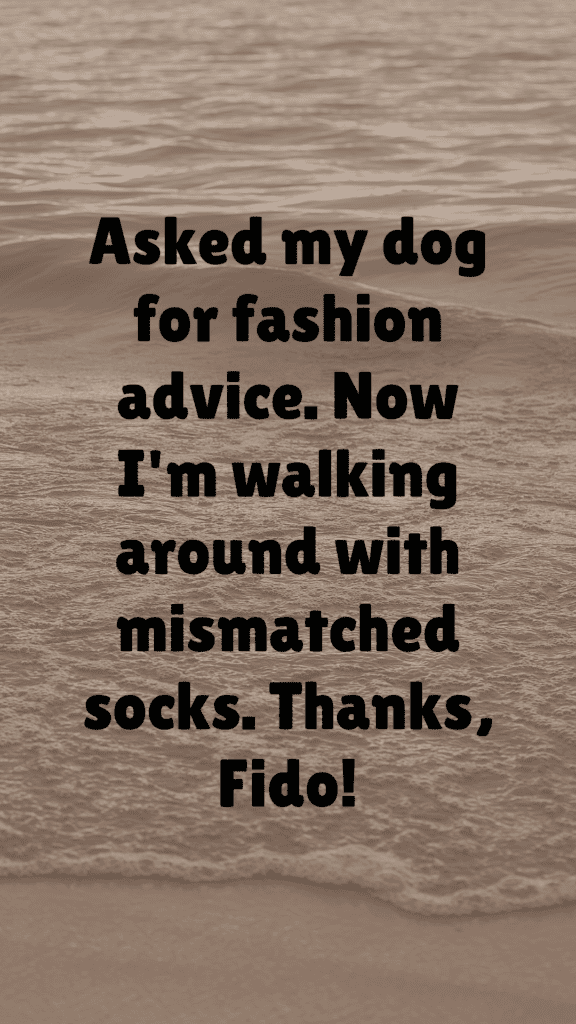 "Asked my dog for fashion advice. Now I'm walking around with mismatched socks. Thanks, Fido!"