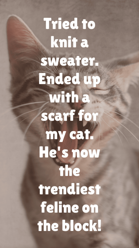 "Tried to knit a sweater. Ended up with a scarf for my cat. He's now the trendiest feline on the block!"