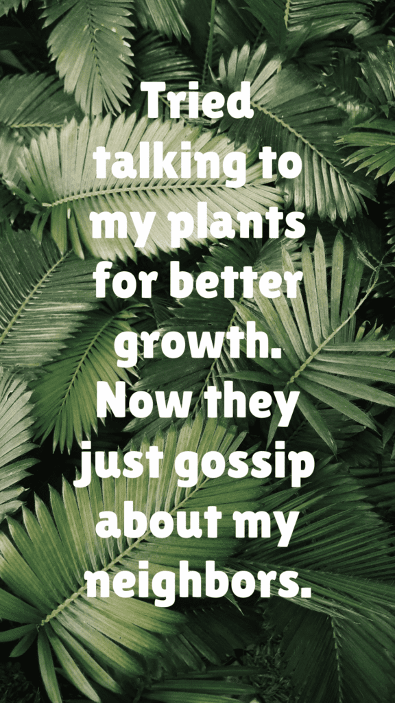 "Tried talking to my plants for better growth. Now they just gossip about my neighbors."